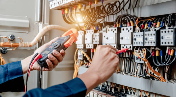 Best Licensed Electrician  in Homer Glen, IL