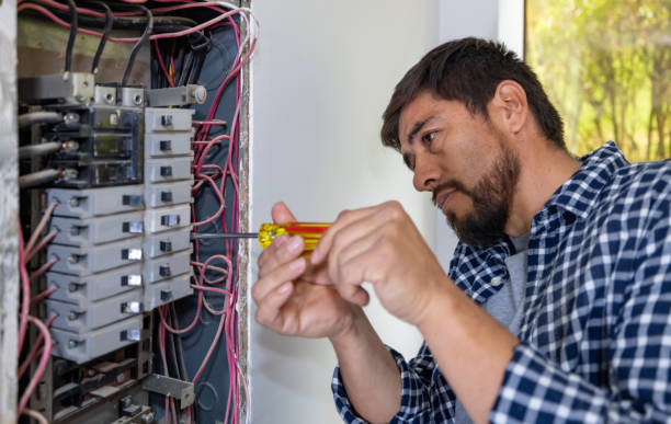 Best Local Electrician Companies  in Homer Glen, IL